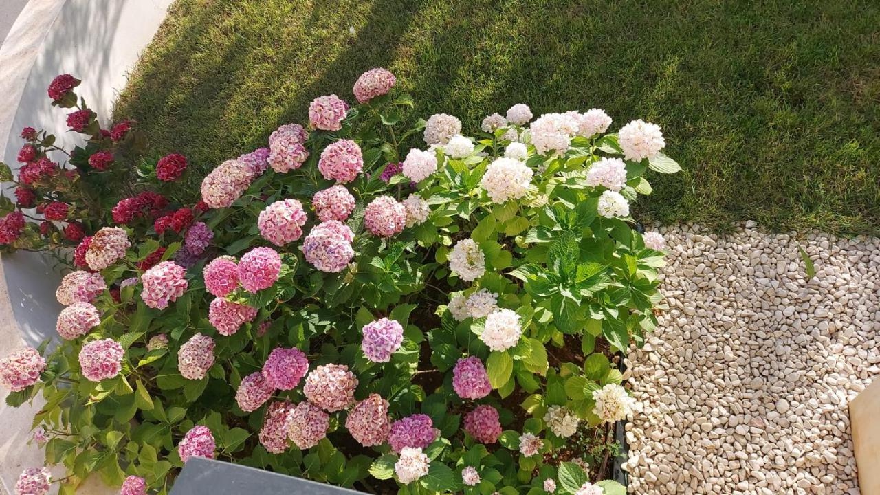 La Casa Di Francesca B&B Con Parcheggio Privato Porto Cesareo Zewnętrze zdjęcie